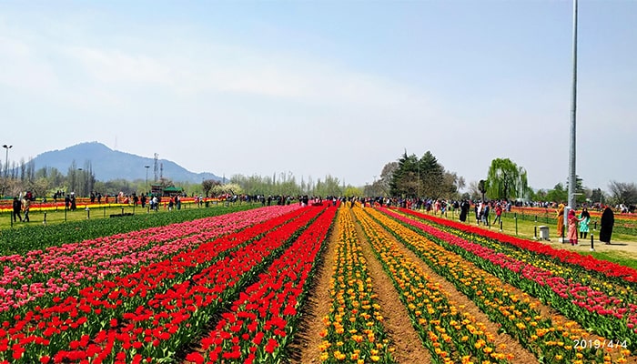 Kashmir Family Tour