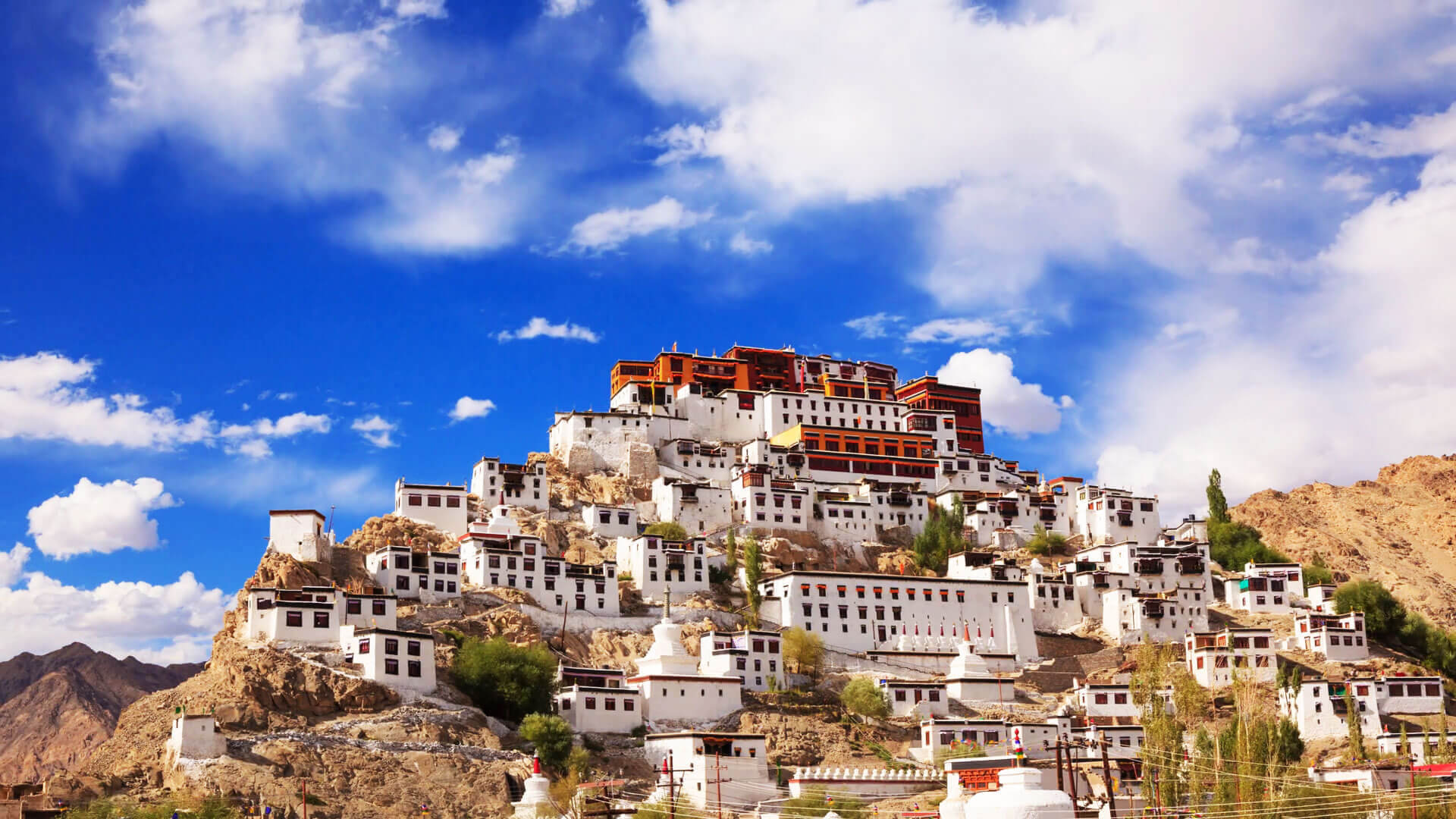 Ladakh Family Tour